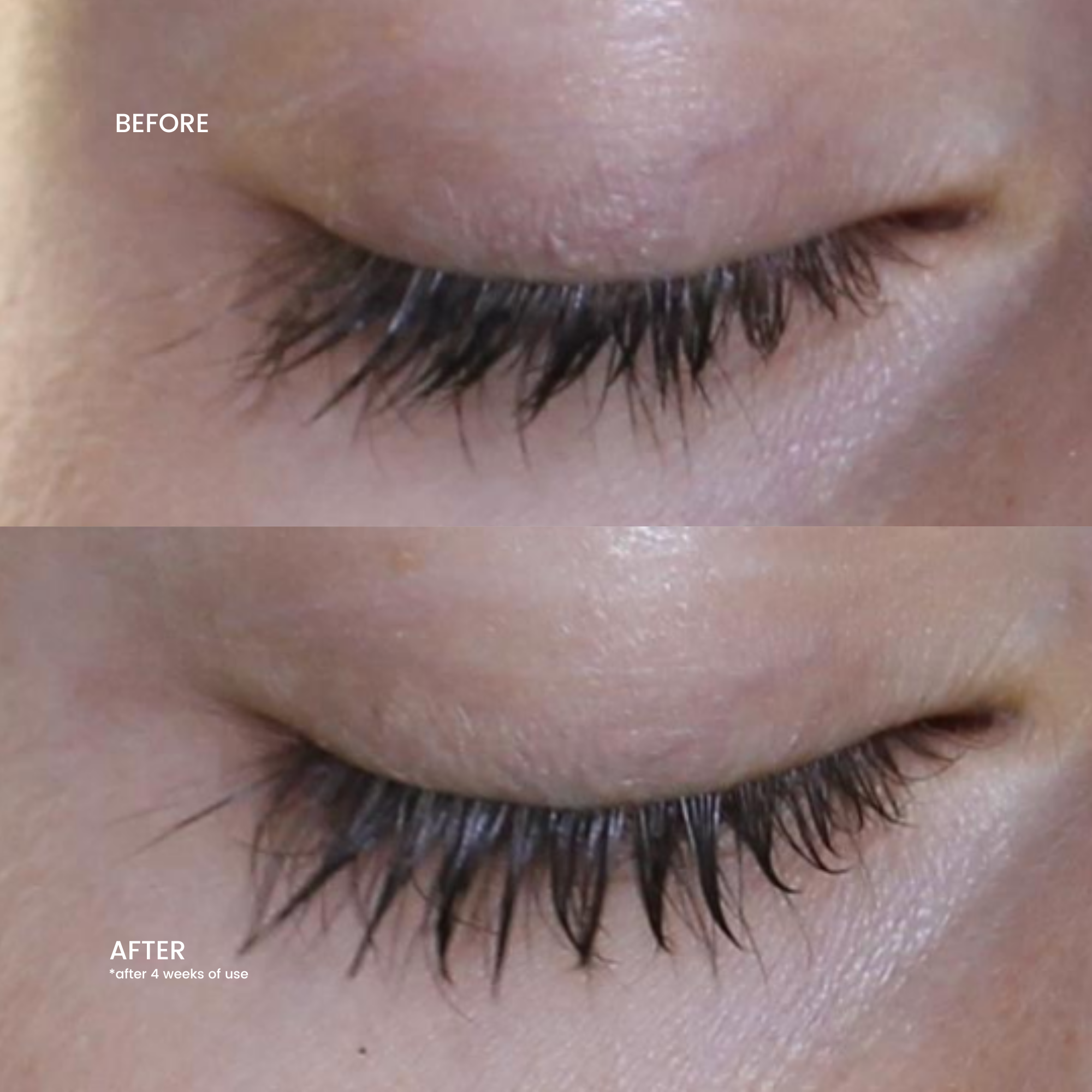 Brow & Lash Serum